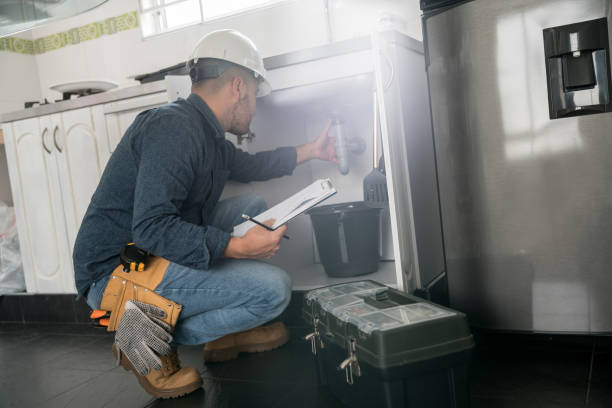 Best Emergency Plumber  in Ludington, MI