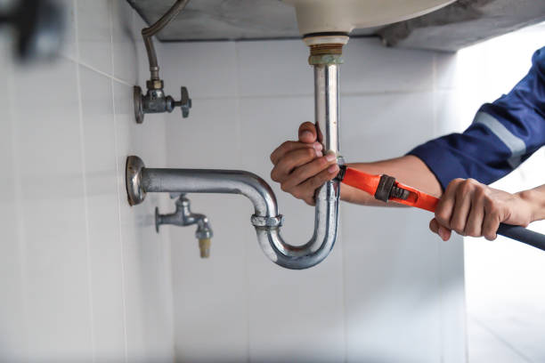 Best Plumbing Inspection Services  in Ludington, MI